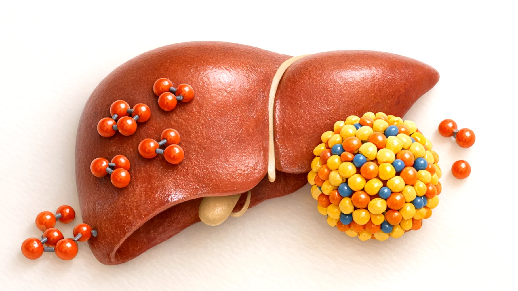 Niski poziom ferrytyny: dlaczego jest dobry dla określonego organu ludzkiego ciała"